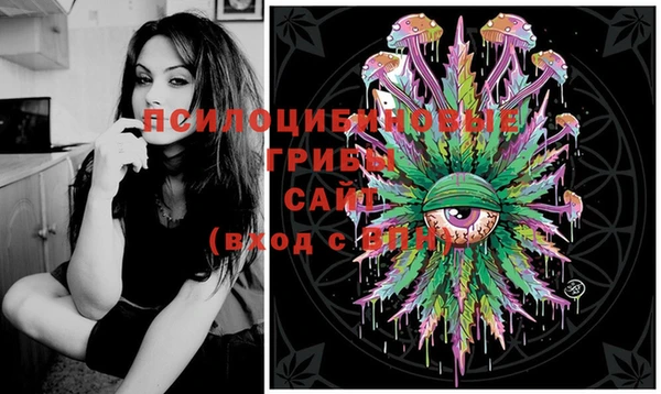 mdma Богородицк